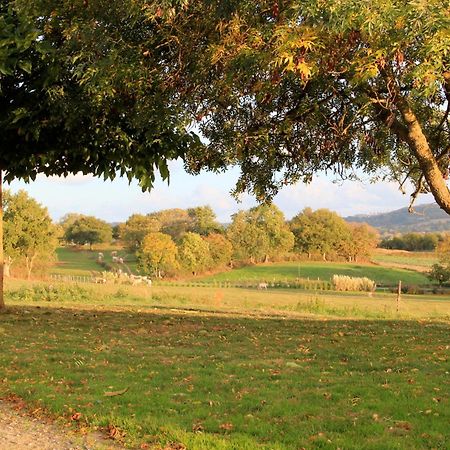 Les chambres d'hôtes de La Métairie du Bourg Les Herbiers Esterno foto